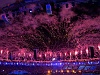 IMG 0587