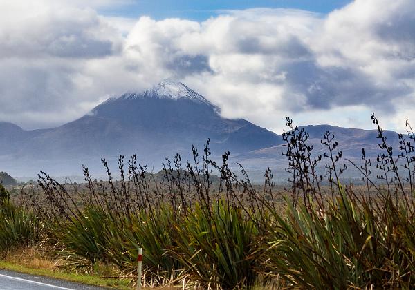 Tongariro