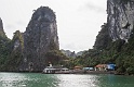 VietCam2013 5DII IMG 0086