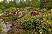Botanical Gardens, Tromsø