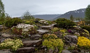Botanical Gardens, Tromsø