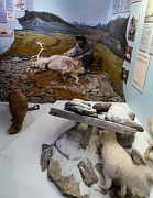 Polarmuseet, Tromsø
