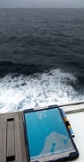 Bjørnøya (Bear Island), in the Barents Sea, between Norway and Svalbard