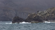 Bjørnøya (Bear Island), in the Barents Sea, between Norway and Svalbard