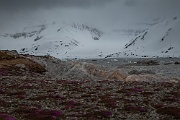 Gnålodden, Hornsund, Svalbard