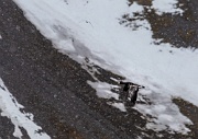 Bellsund, Svalbard