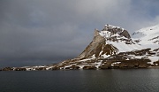 Alkhornet, Svalbard