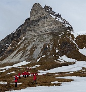 Alkhornet, Svalbard