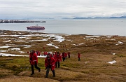 Alkhornet looking down to Trygghamna, Svalbard
