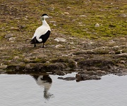 Longyearbyen, Svalbard